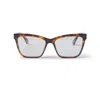 Off-white Cat-eye Glasses In 6000 Havana
