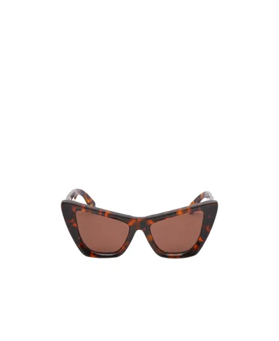 Off-white Edvard Cat-eye Sunglasses In Brown