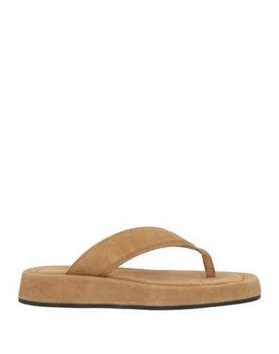 Officine Creative Italia Woman Thong Sandal Khaki Size 8 Leather In Beige