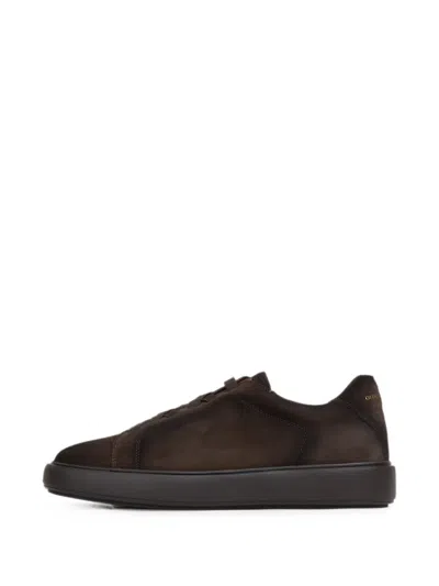 Officine Creative Slouch Suede Lace-up Sneakers In Brown
