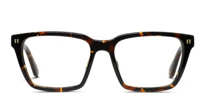 Off-white Ow5003 Tortoise