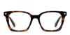 Off-white Ow5024 Tortoise In Tortoise