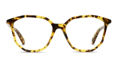 Off-white Ow5025 Tortoise,yellow