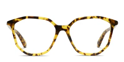 Off-white Ow5025 Tortoise/yellow In Tortoise,yellow