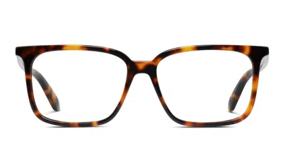 Off-white Ow5026 Tortoise
