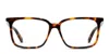 Off-white Ow5026 Tortoise In Tortoise