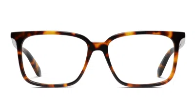 Off-white Ow5026 Tortoise