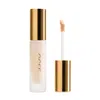 Ogee Complexion Perfecting Concealer
