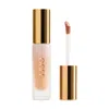 Ogee Complexion Perfecting Concealer
