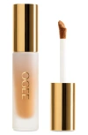 Ogee Complexion Perfecting Concealer