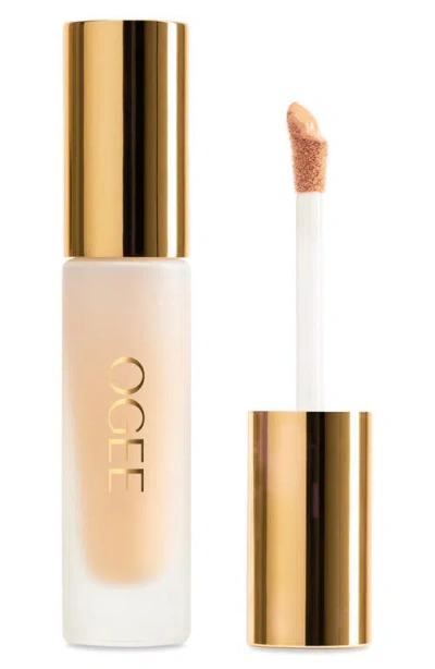 Ogee Complexion Perfecting Concealer In Brown