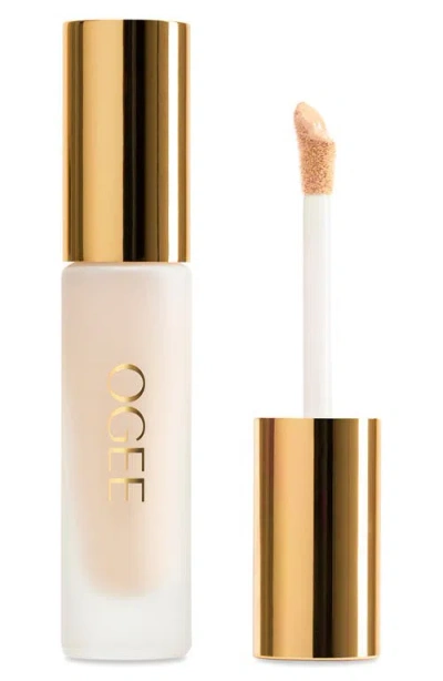 Ogee Complexion Perfecting Concealer In Brown