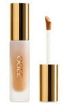 Ogee Complexion Perfecting Concealer In Green