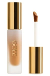 Ogee Complexion Perfecting Concealer In Green