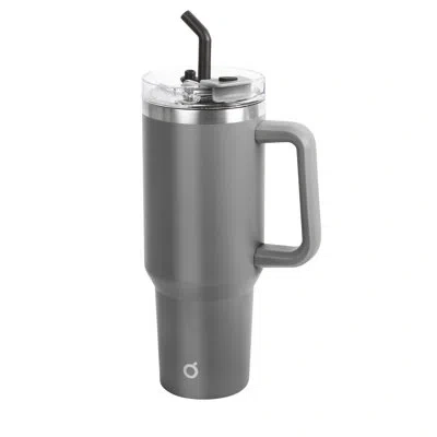 Oggi 40 oz Thermal Mug W/straw In Gray