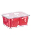 Oggi 8.75" X 6.75" X 3.75" Berry Container For Fridge In Red