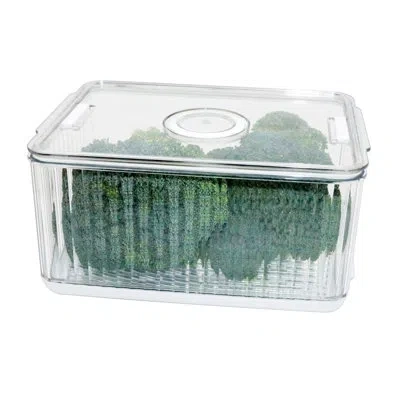 Oggi Fresh Keeper Max Produce Bin - 4.7 Liter/19.75 Cups In Clear