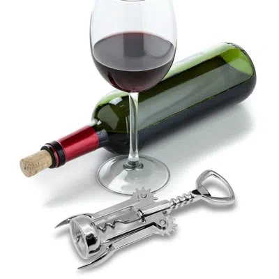 Oggi Winged Corkscrew In Silver