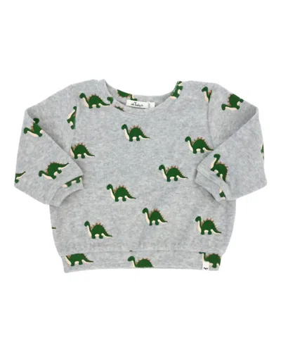 Oh Baby Kids' Boy's Dinosaur Print Sweatshirt In Heather Grey In Gray