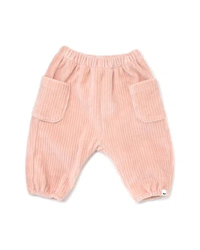 Oh Baby Side Pocket Cord Pant In Pink