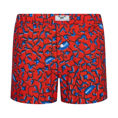 Ohema Ohene Men's African Print Boxer Shorts Red Floral
