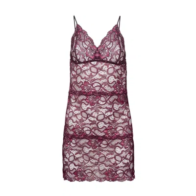 Oh!zuza Night&day Women's Pink / Purple Lace Chemise Sensual Elegance In Pink/purple