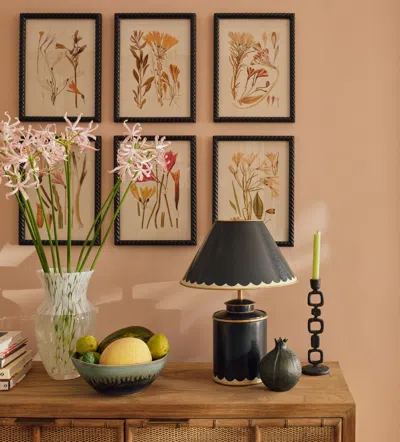 Oka Anna Framed Botanical Prints - Set Of Six - Multi