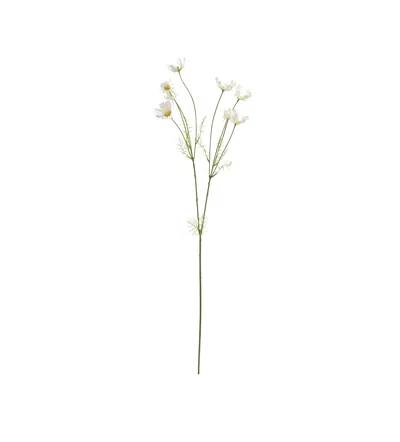 Oka Faux Cosmos Stem - White