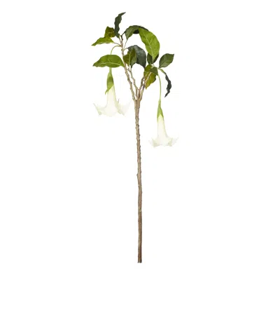 Oka Faux Datura Branch - Cream