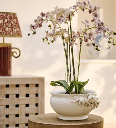 Oka Frutta Pot - White In Neutral