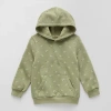 Okie Dokie Toddler & Little Boys Long Sleeve Fleece Hoodie In Green