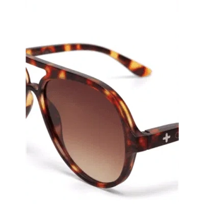 Okkia Alessio Havana Sunglasses In Brown