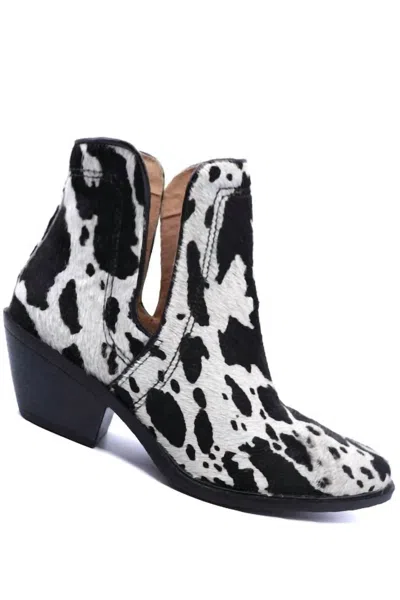 Old Cutler Women's West 2 Cow Boots In Black