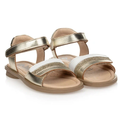 Old Soles Babies' Girls Gold Leather Sandals In Multi