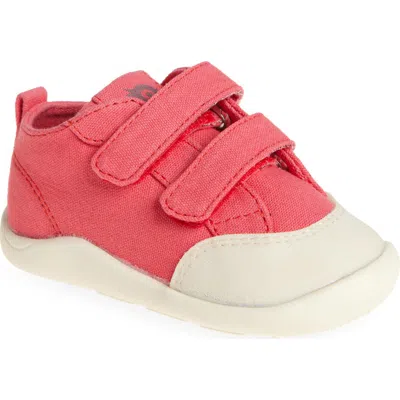 Old Soles Kids' Salty Sneaker In Watermelon Canvas
