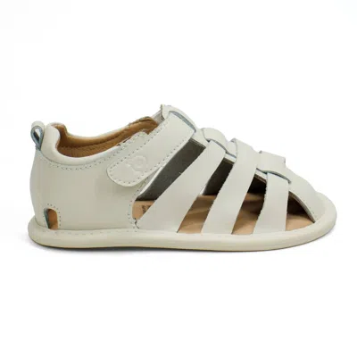 Old Soles Kids' Toddler's Little Surf Sandals In Sporco In Multi