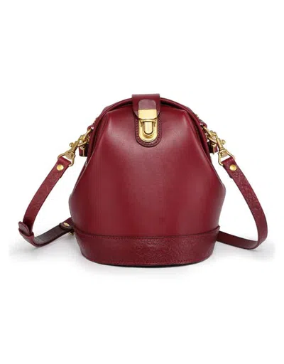 Old Trend Doctor Genuine Leather Structured Bucket Crossbody In Burgundy