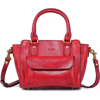 Old Trend Pansy Mini Satchel Bag In Red