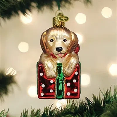 Old World Christmas Blown Glass Puppy Surprise Hanging Figurine Ornament
