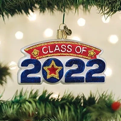 Old World Christmas Class Of 2022 Glass Blown Hanging Figurine Ornament