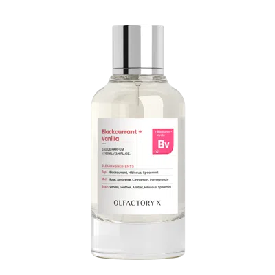 Olfactory X Blackcurrant + Vanilla Eau De Parfum