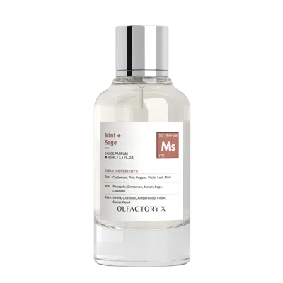 Olfactory X Mint + Sage Eau De Parfum