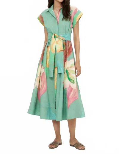 Oliphant Belted Shirt Dress In Hibiscus Sage In Green