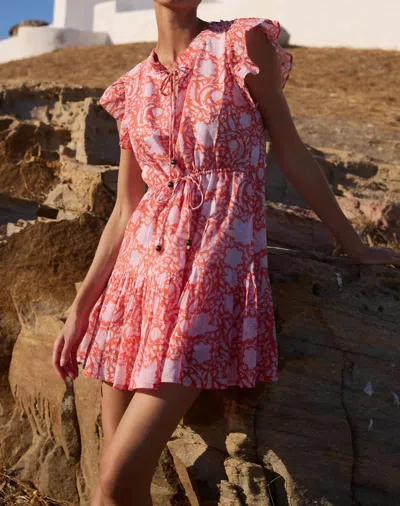 Oliphant Cinched Flirty Dress In Ivy Orange In Multi