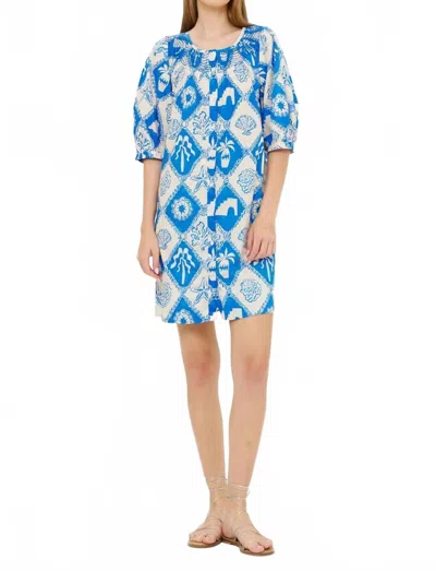 Oliphant Embroidered Button Mini Dress - Plus In Asterias Blue In Multi