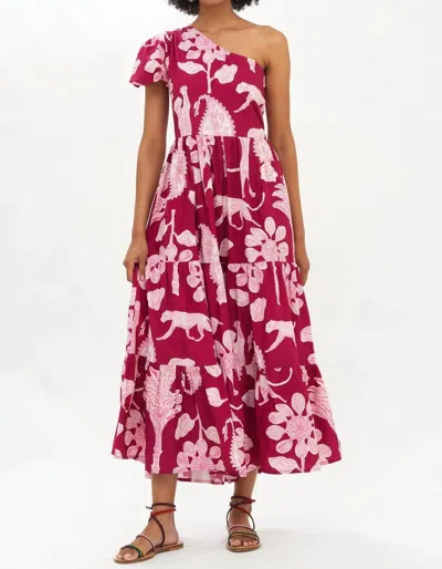 Oliphant One Shoulder Maxi Dress In Lamu Magenta In Pink