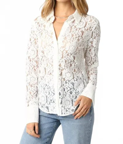 Olivaceous Celine Lace Blouse In Cream