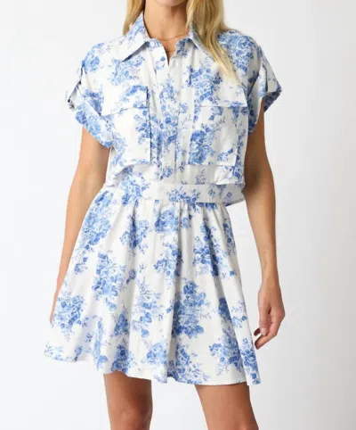 Olivaceous Chinoiserie Print Dress In Blue/white In Animal Print