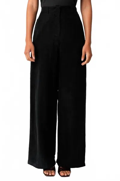 Olivaceous Cupro Wide-leg Trousers In Black