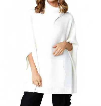 Olivaceous Emily Sweater In Off White